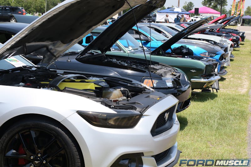 Team Shelby Carolinas