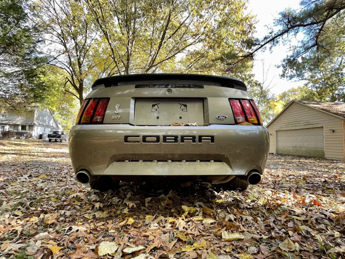 2001 Cobra