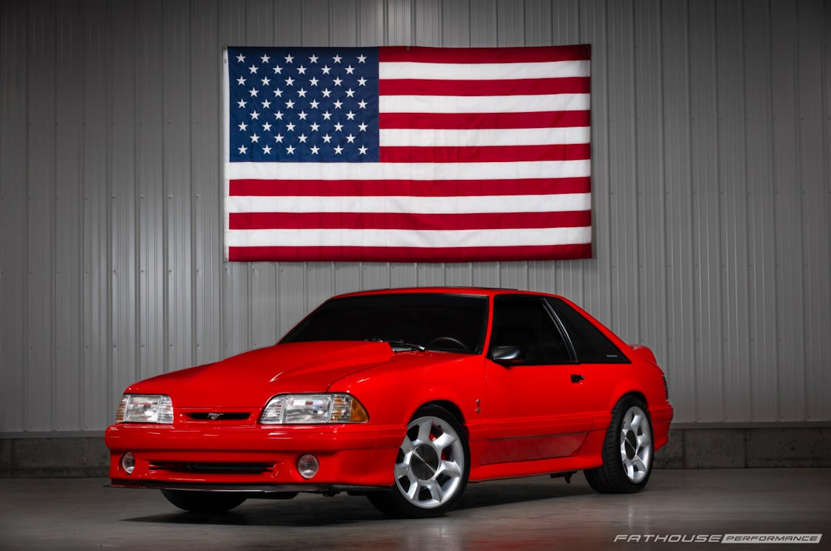 Ben Stoner Fox Cobra