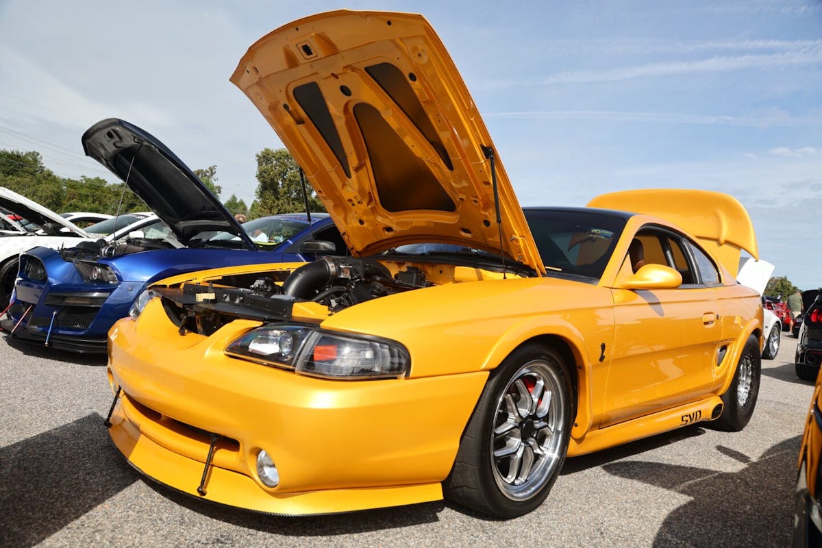 Mustang Week Car Show