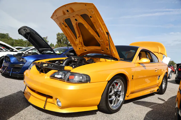 Mustang Week Car Show