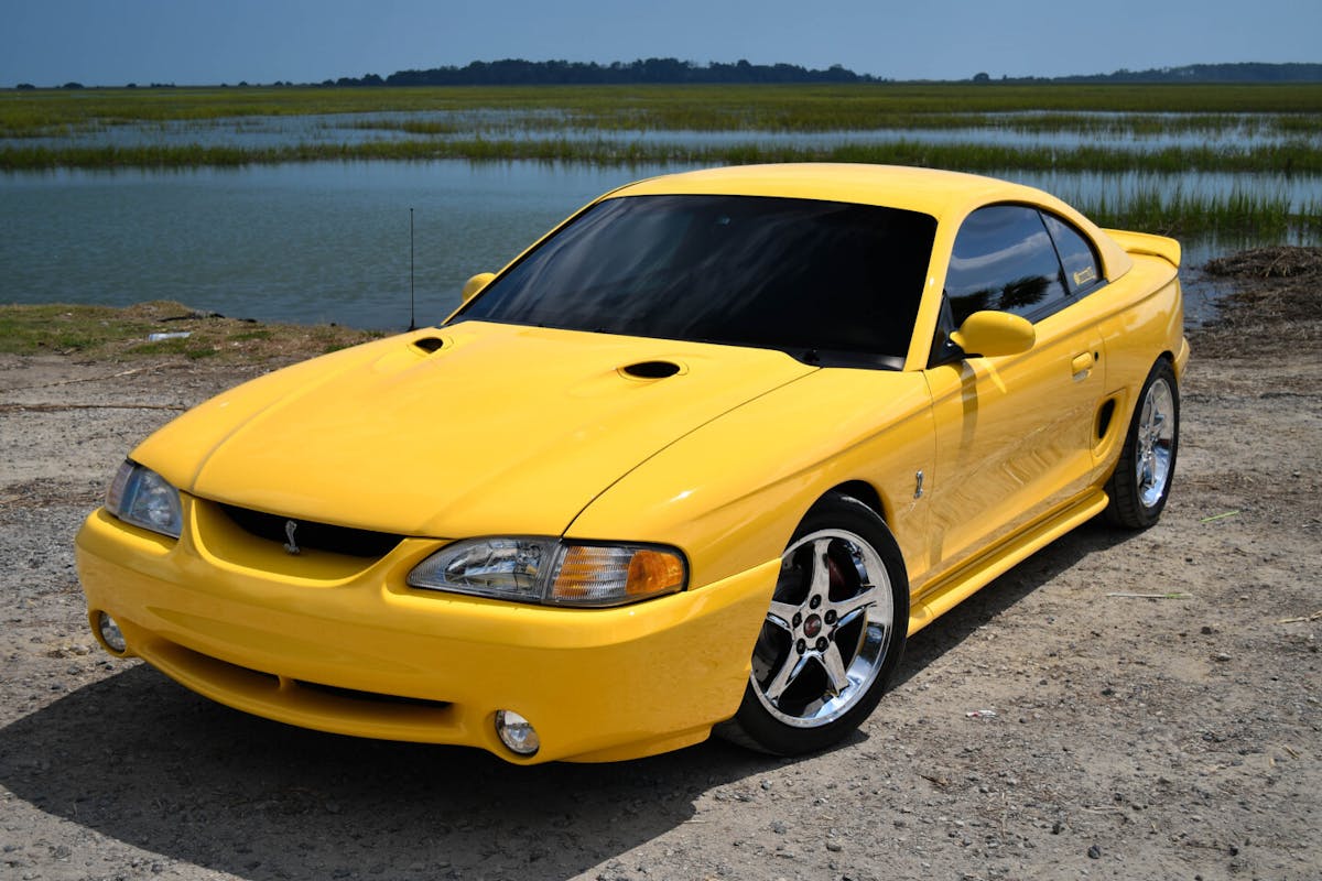 SN95 Cobra