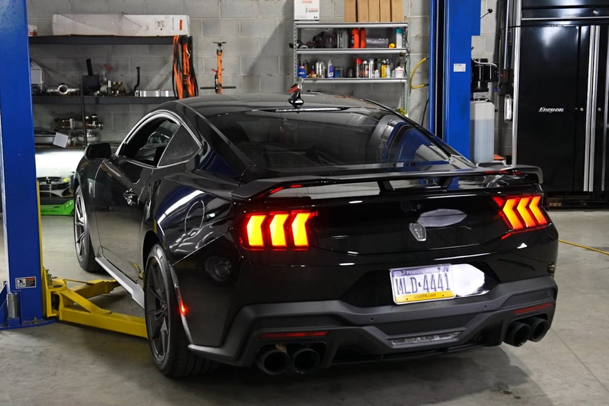 Back View of a Dark Horse Mustang