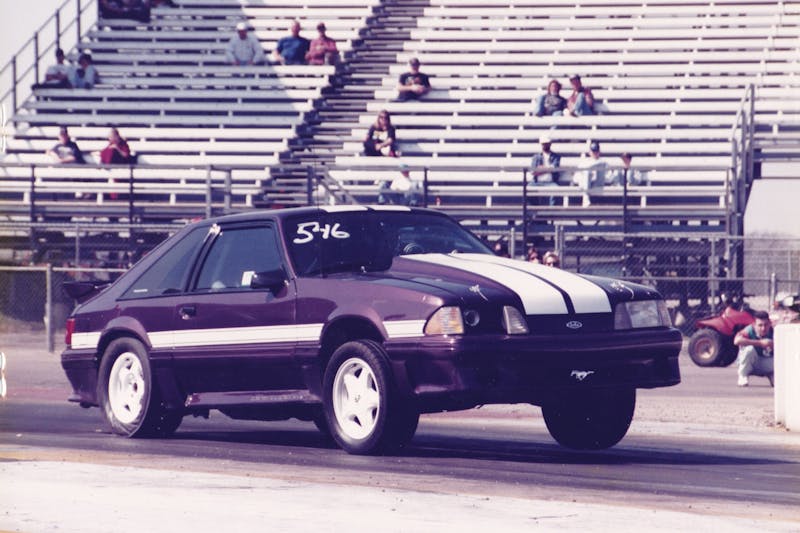 Texas 10: James Bingham Jr.'s Voodoo Violet Fox Is A Triple Threat