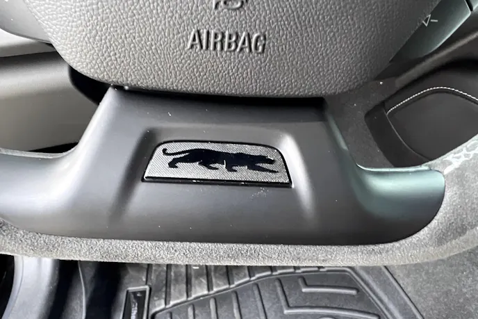 Panther Trademark Logo