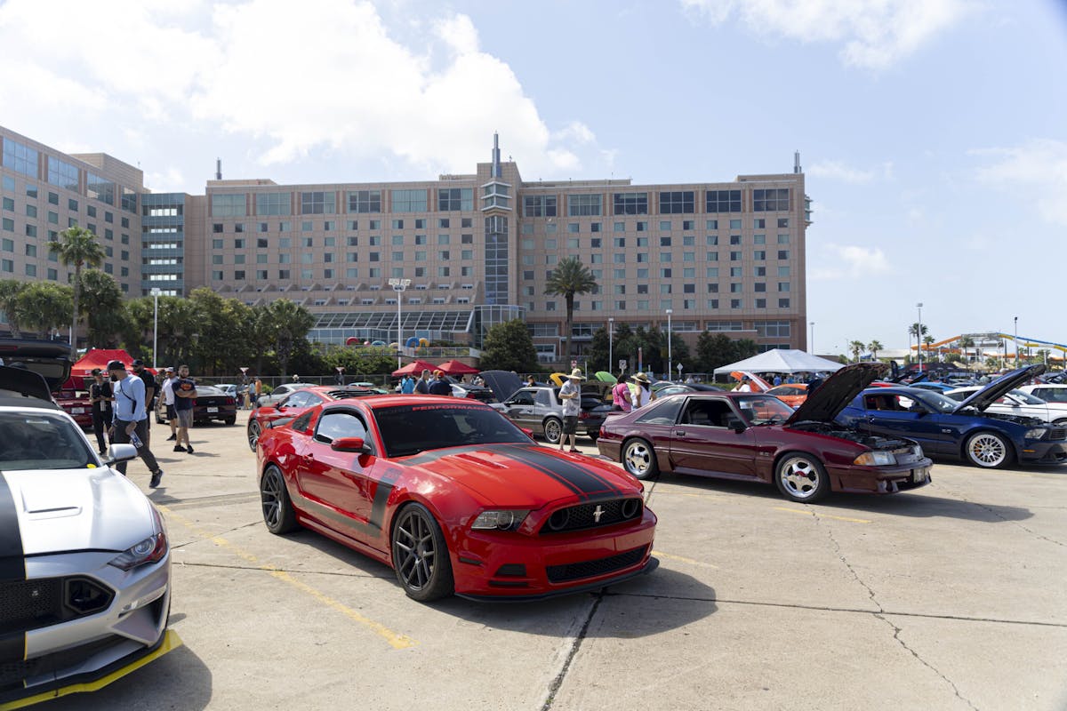 Mustangs parked at Moody Gardens for Car show