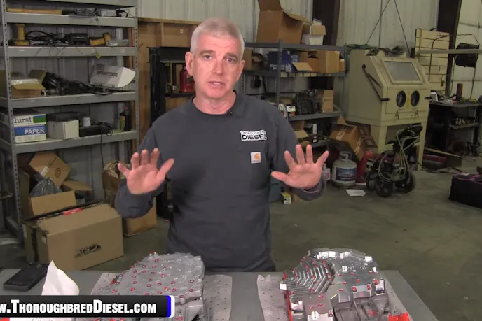 Wade of Thoroughbred Diesel