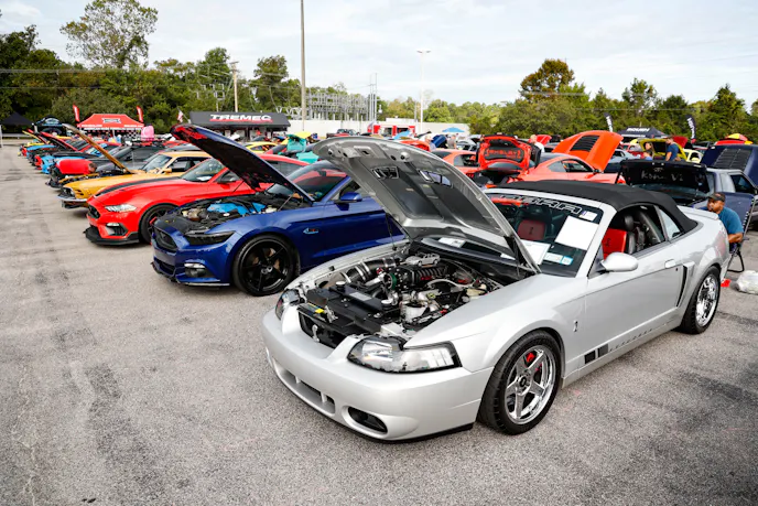 Mustangs in parking lot with hoods open