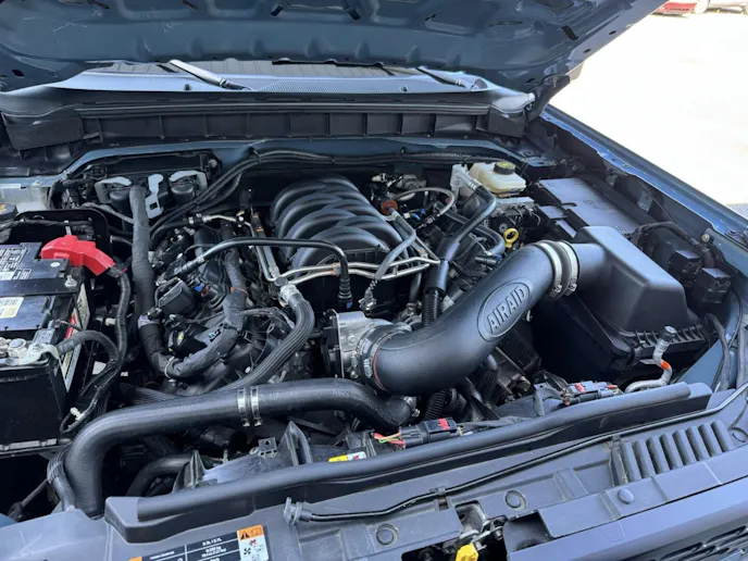 Badass Coyote Bronco