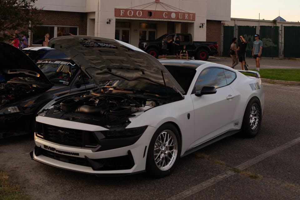 White Dark Horse Mustang