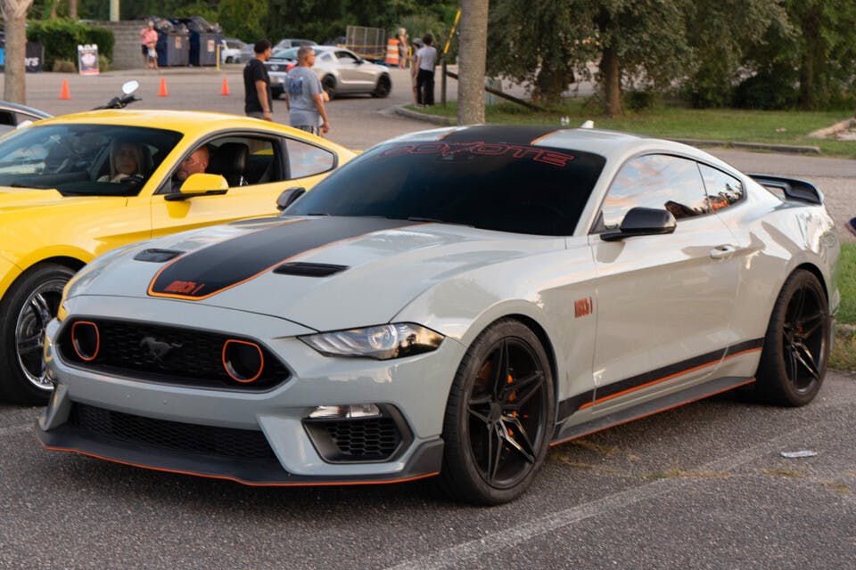 Mach 1 Mustang in fighter Jet Gray