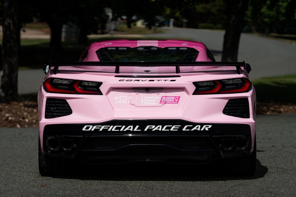 Pink Corvette Stringray Rear View