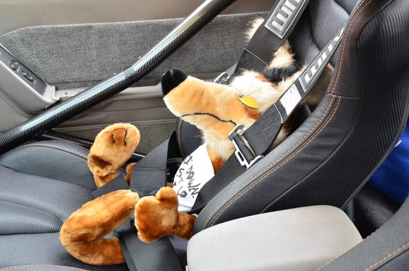 mustangs-invade-maggie-valley-the-44th-annual-mustangshelby-show-0276