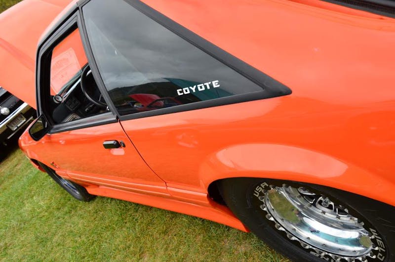 mustangs-invade-maggie-valley-the-44th-annual-mustangshelby-show-0280