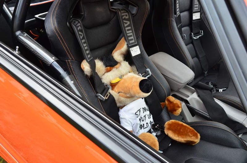 mustangs-invade-maggie-valley-the-44th-annual-mustangshelby-show-0284