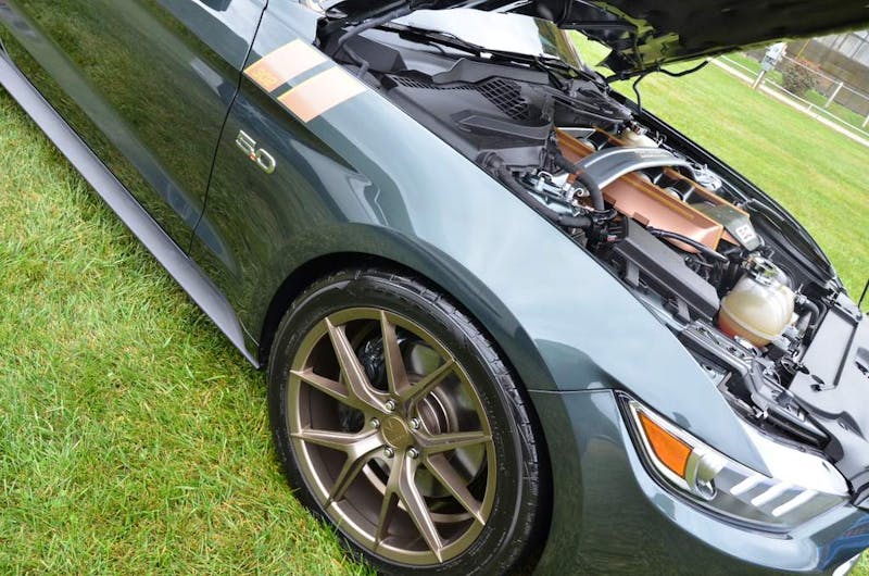 mustangs-invade-maggie-valley-the-44th-annual-mustangshelby-show-0387