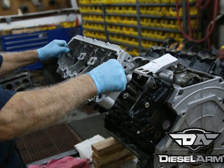 IMG_8790_1 IMG_8790_1