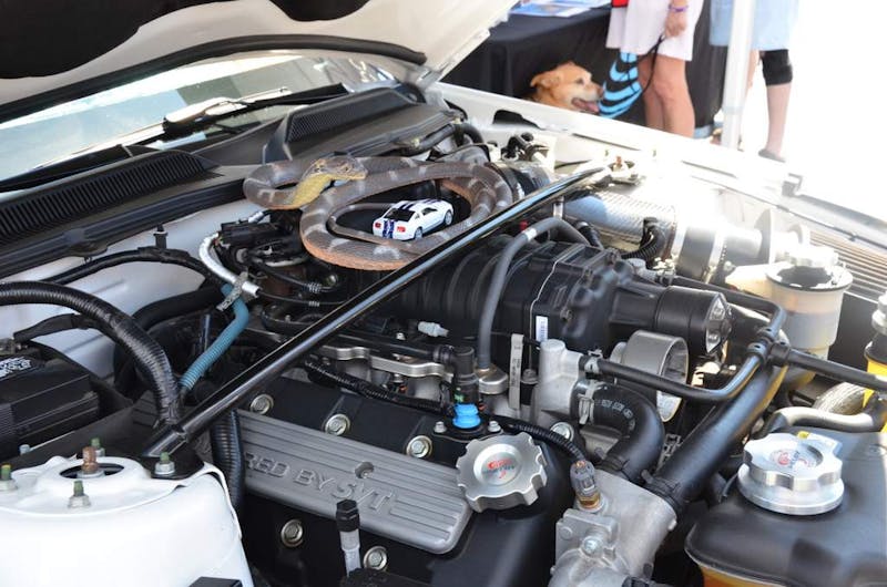 kooks-headers-opens-its-doors-for-8th-annual-kruise-in-0097