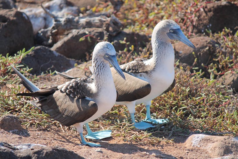 adventure-of-a-lifetime-overlanding-the-world-in-a-vw-bus-0018