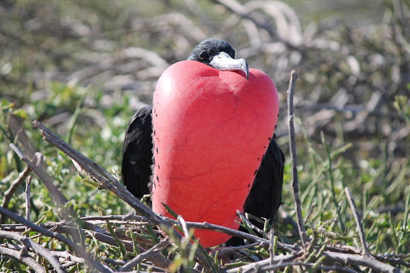 adventure-of-a-lifetime-overlanding-the-world-in-a-vw-bus-0019