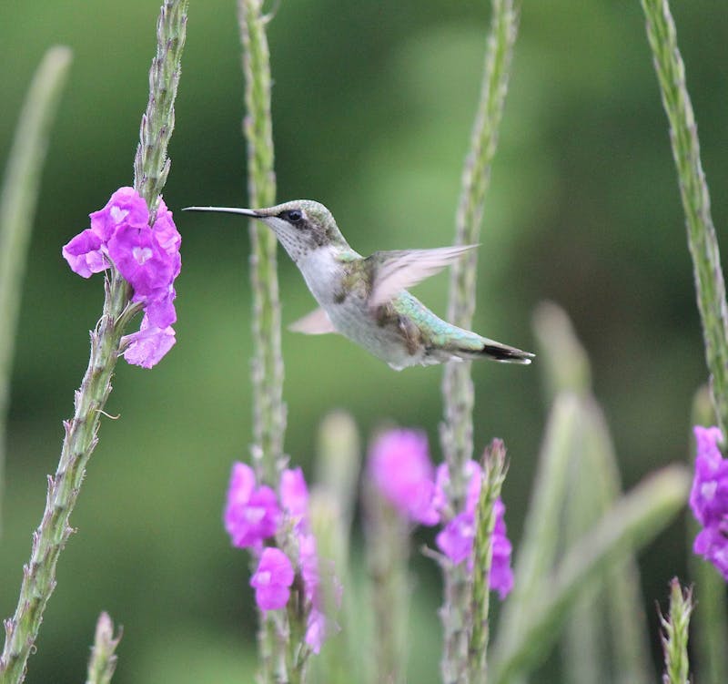 adventure-of-a-lifetime-overlanding-the-world-in-a-vw-bus-0031