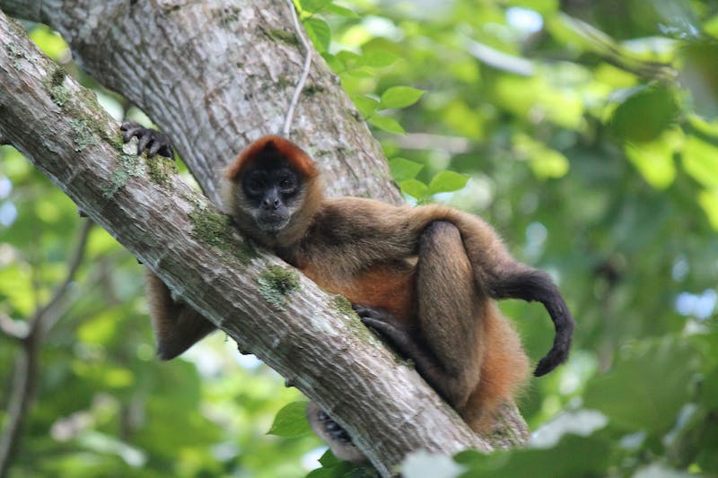 adventure-of-a-lifetime-overlanding-the-world-in-a-vw-bus-0032