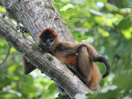 adventure-of-a-lifetime-overlanding-the-world-in-a-vw-bus-0032 adventure-of-a-lifetime-overlanding-the-world-in-a-vw-bus-0032