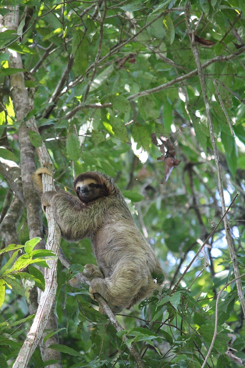adventure-of-a-lifetime-overlanding-the-world-in-a-vw-bus-0033
