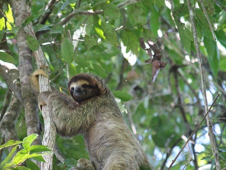 adventure-of-a-lifetime-overlanding-the-world-in-a-vw-bus-0033 adventure-of-a-lifetime-overlanding-the-world-in-a-vw-bus-0033