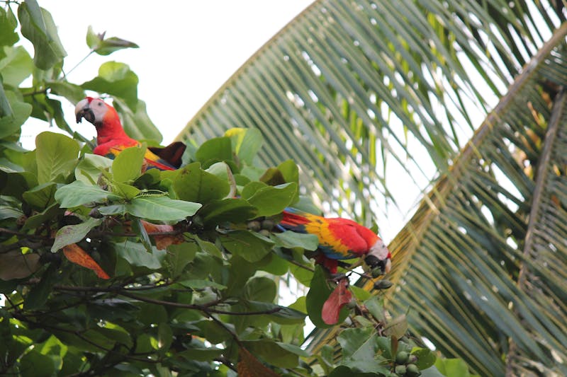 adventure-of-a-lifetime-overlanding-the-world-in-a-vw-bus-0034