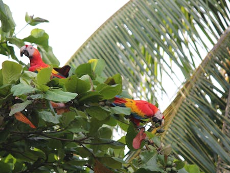 adventure-of-a-lifetime-overlanding-the-world-in-a-vw-bus-0034 adventure-of-a-lifetime-overlanding-the-world-in-a-vw-bus-0034