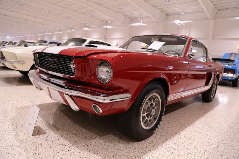 American-Muscle-Car-Museum-Tour-9191966-GT350