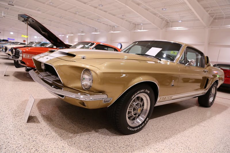 American-Muscle-Car-Museum-Tour-9471968-GT500