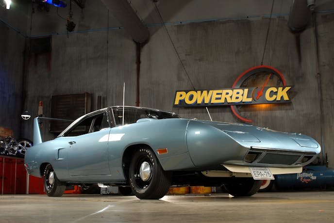 PPN-0317-superbird-1 (2) (1200x803)