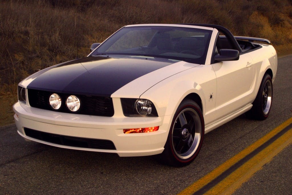 spider - 01 (1200x800)