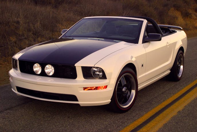 spider - 01 (1200x800)