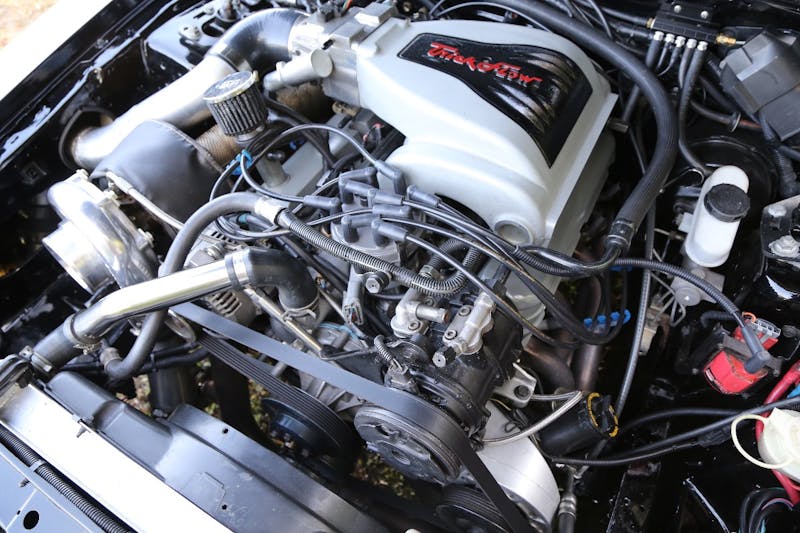 Jack-Lyons-Turbo-Fox-Feature-231