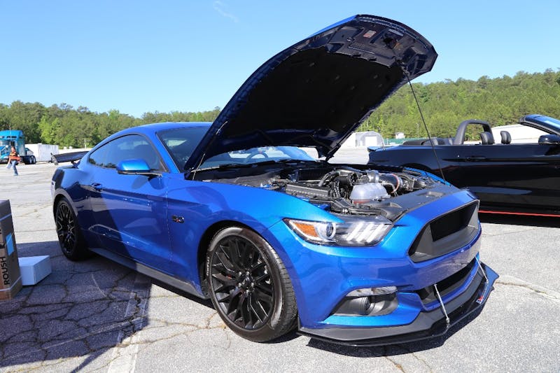 Mustangs-at-the-Mountain-2017-163