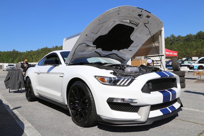 Mustangs-at-the-Mountain-2017-174