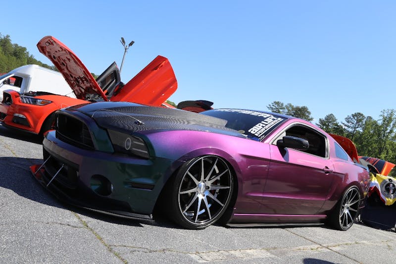 Mustangs-at-the-Mountain-2017-195