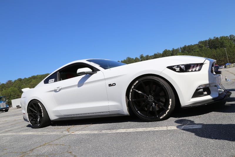 Mustangs-at-the-Mountain-2017-202