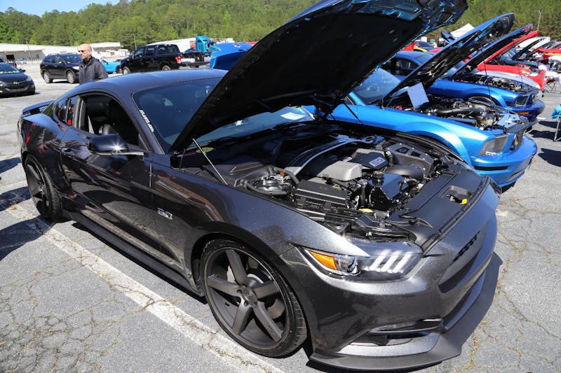 Mustangs-at-the-Mountain-2017-232