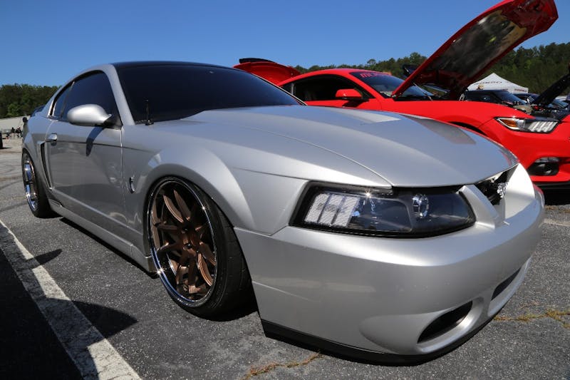 Mustangs-at-the-Mountain-2017-242