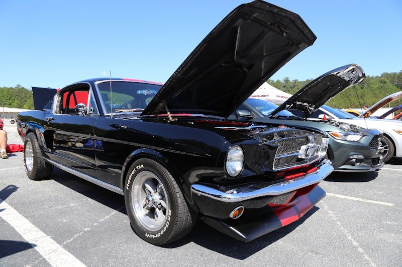 Mustangs-at-the-Mountain-2017-260