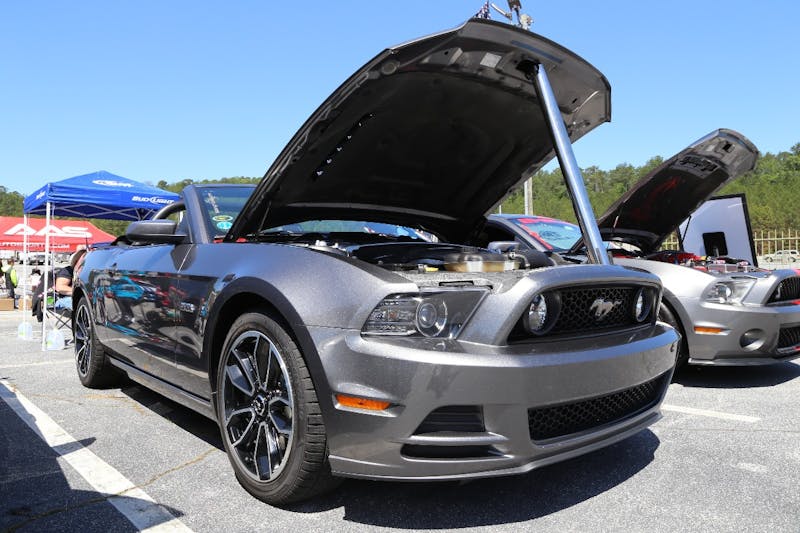 Mustangs-at-the-Mountain-2017-309