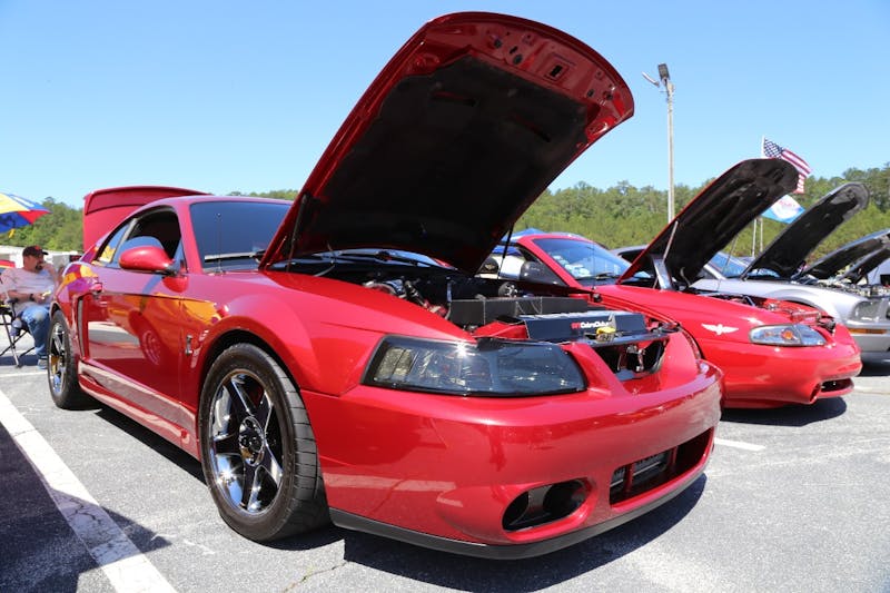 Mustangs-at-the-Mountain-2017-321