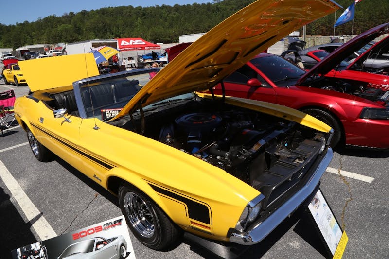 Mustangs-at-the-Mountain-2017-329