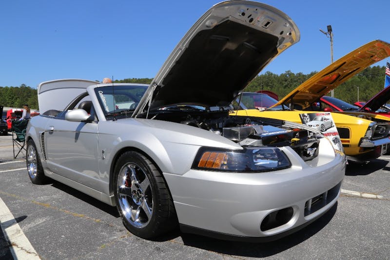 Mustangs-at-the-Mountain-2017-334