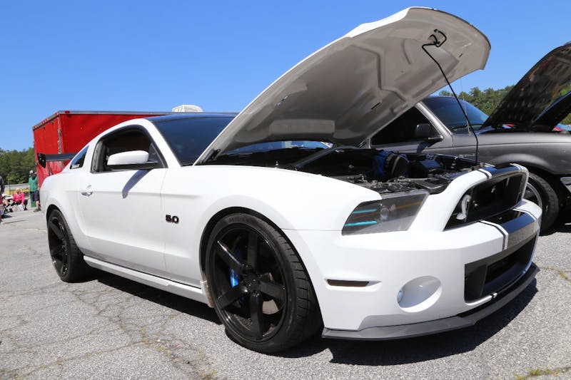 Mustangs-at-the-Mountain-2017-366