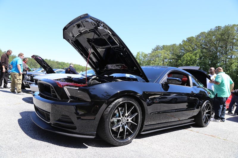 Mustangs-at-the-Mountain-2017-376